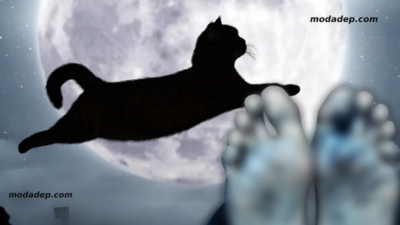 Những điều kiêng kỵ khi khâm liệm