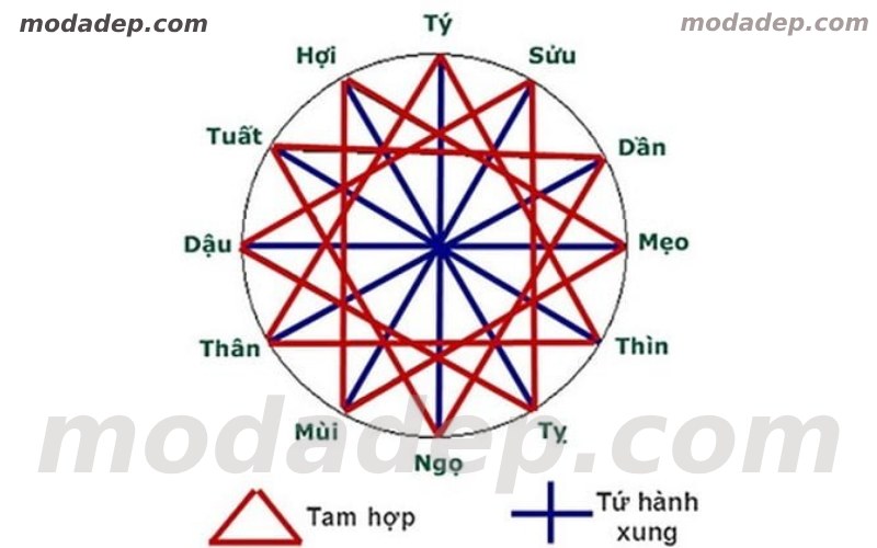 Cùng khám phá chi tiết về tam hợp và tứ hành xung