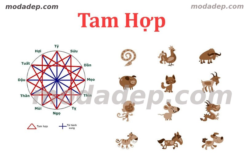 Các Nhóm Tam Hợp Cụ Thể