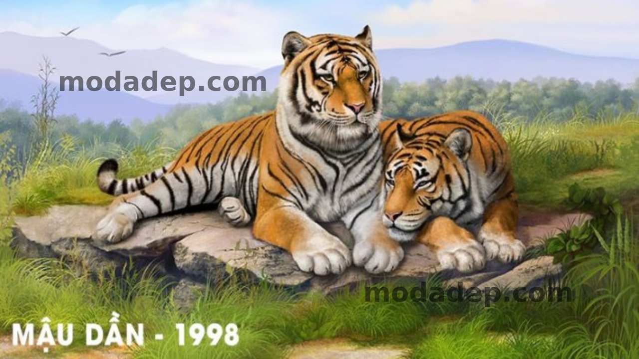 Mậu dần 1998