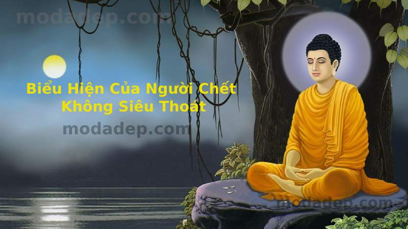 Biểu Hiện Của Người Chết Không Siêu Thoát